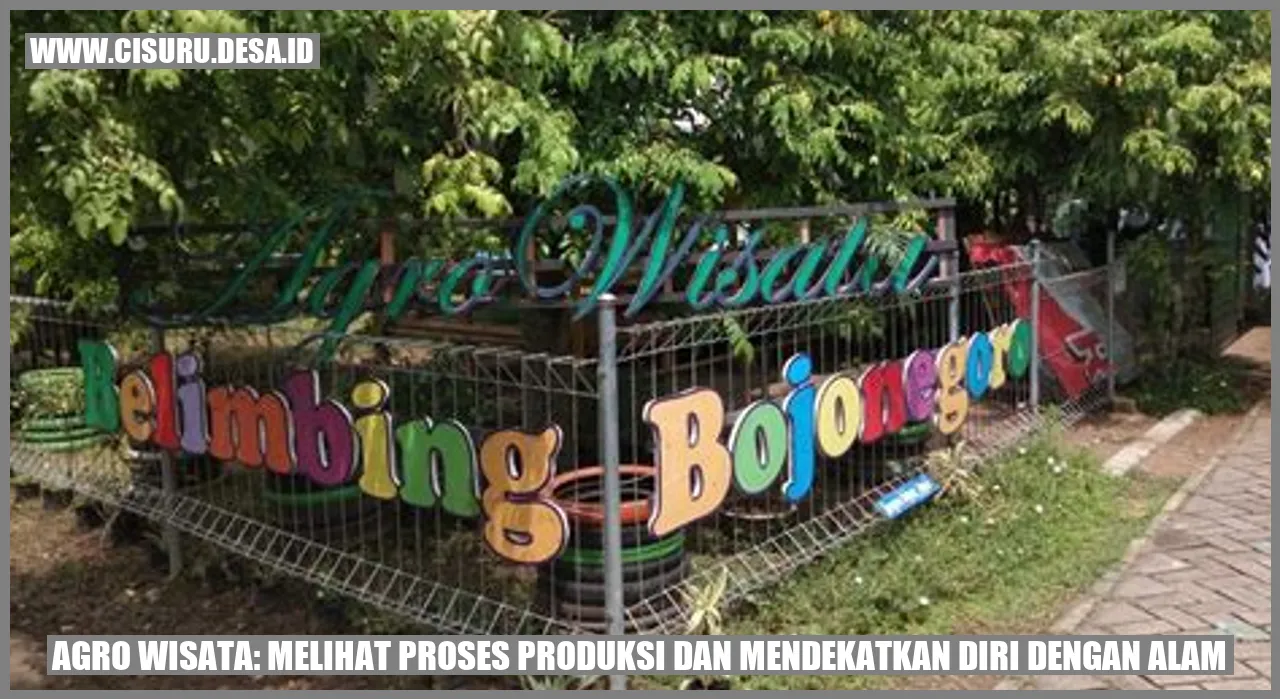 Agro Wisata: Melihat Proses Produksi dan Mendekatkan Diri dengan Alam