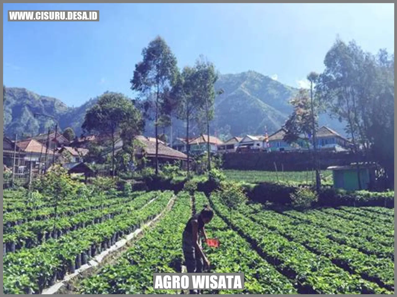 Fasilitas Agro Wisata