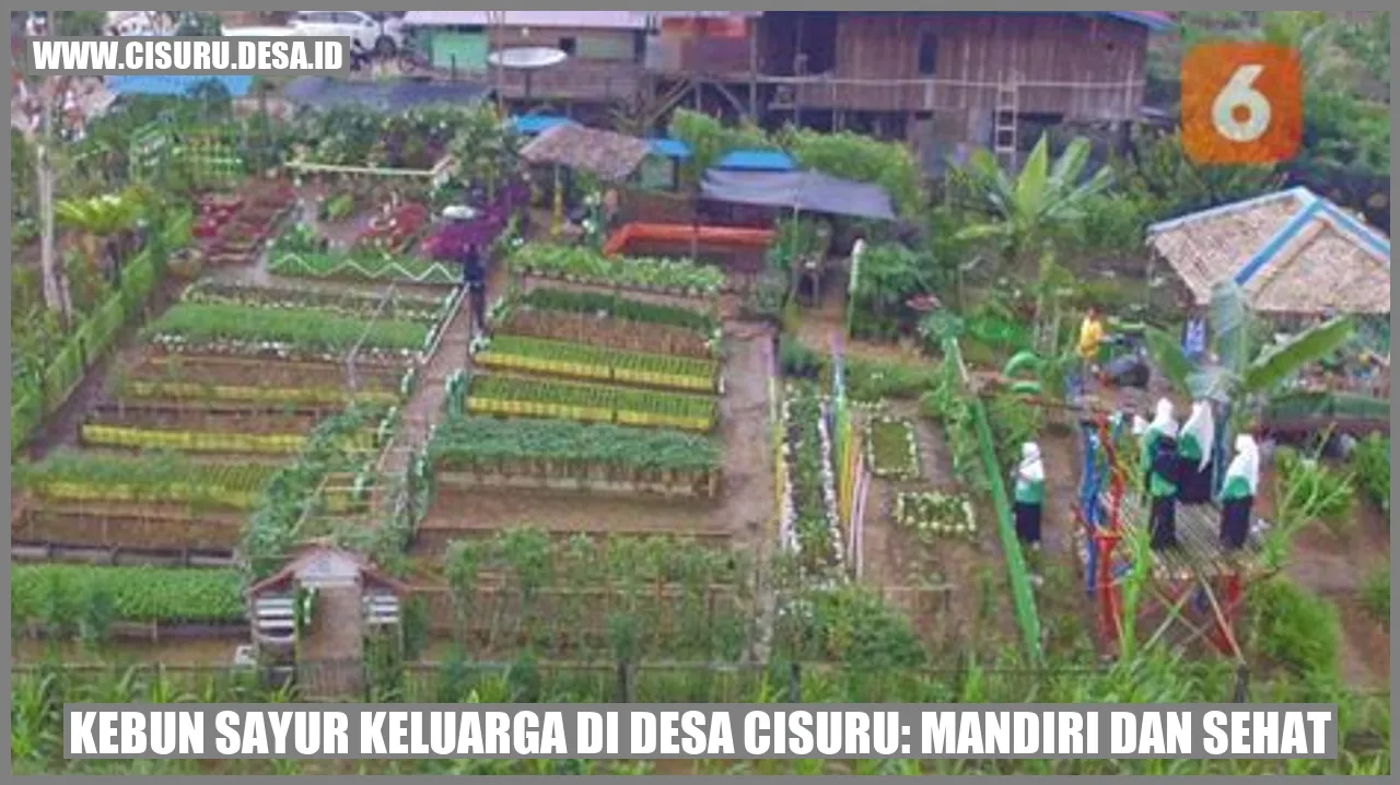 Kebun Sayur Keluarga di Desa Cisuru: Mandiri dan Sehat