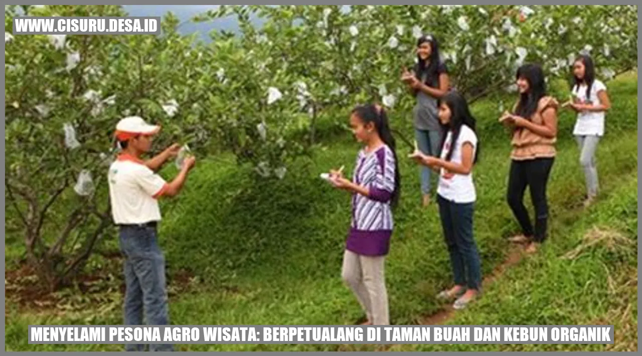 Taman Buah dan Kebun Organik