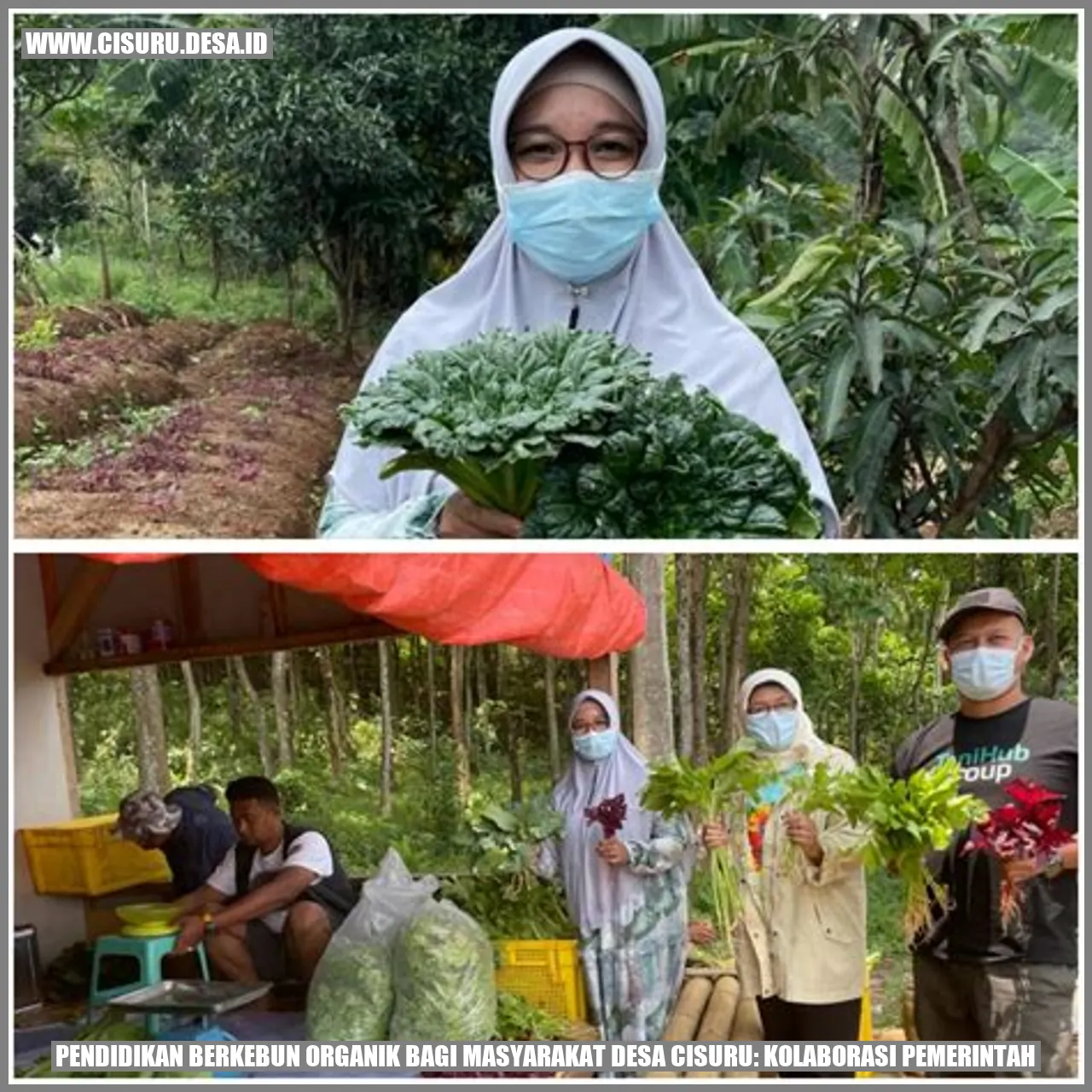 berkebun organik