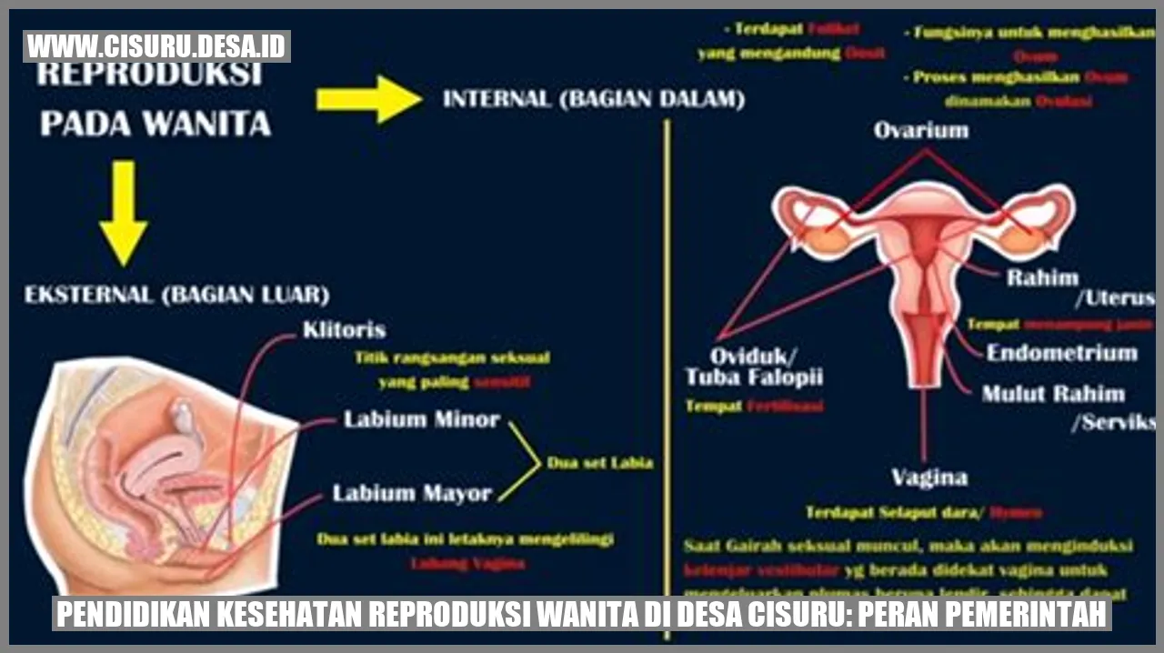 Pendidikan Kesehatan Reproduksi Wanita di Desa Cisuru: Peran Pemerintah