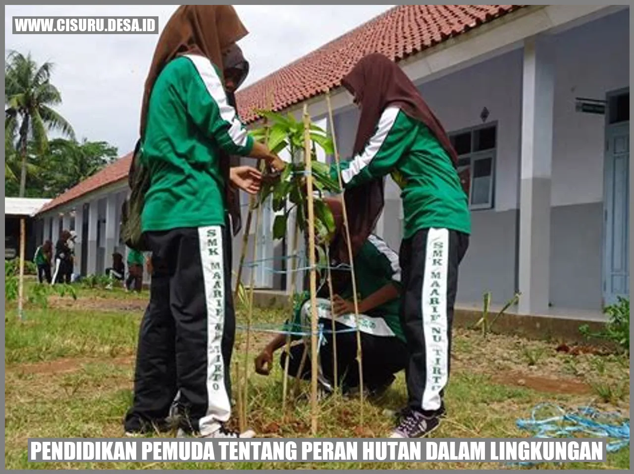 Pendidikan Pemuda tentang Peran Hutan dalam Lingkungan