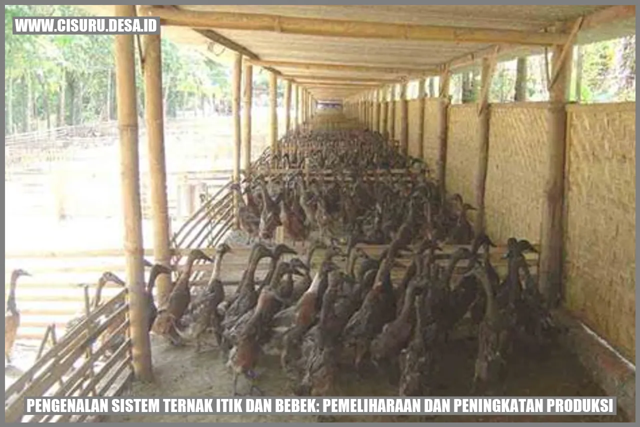 Ternak Itik dan Bebek