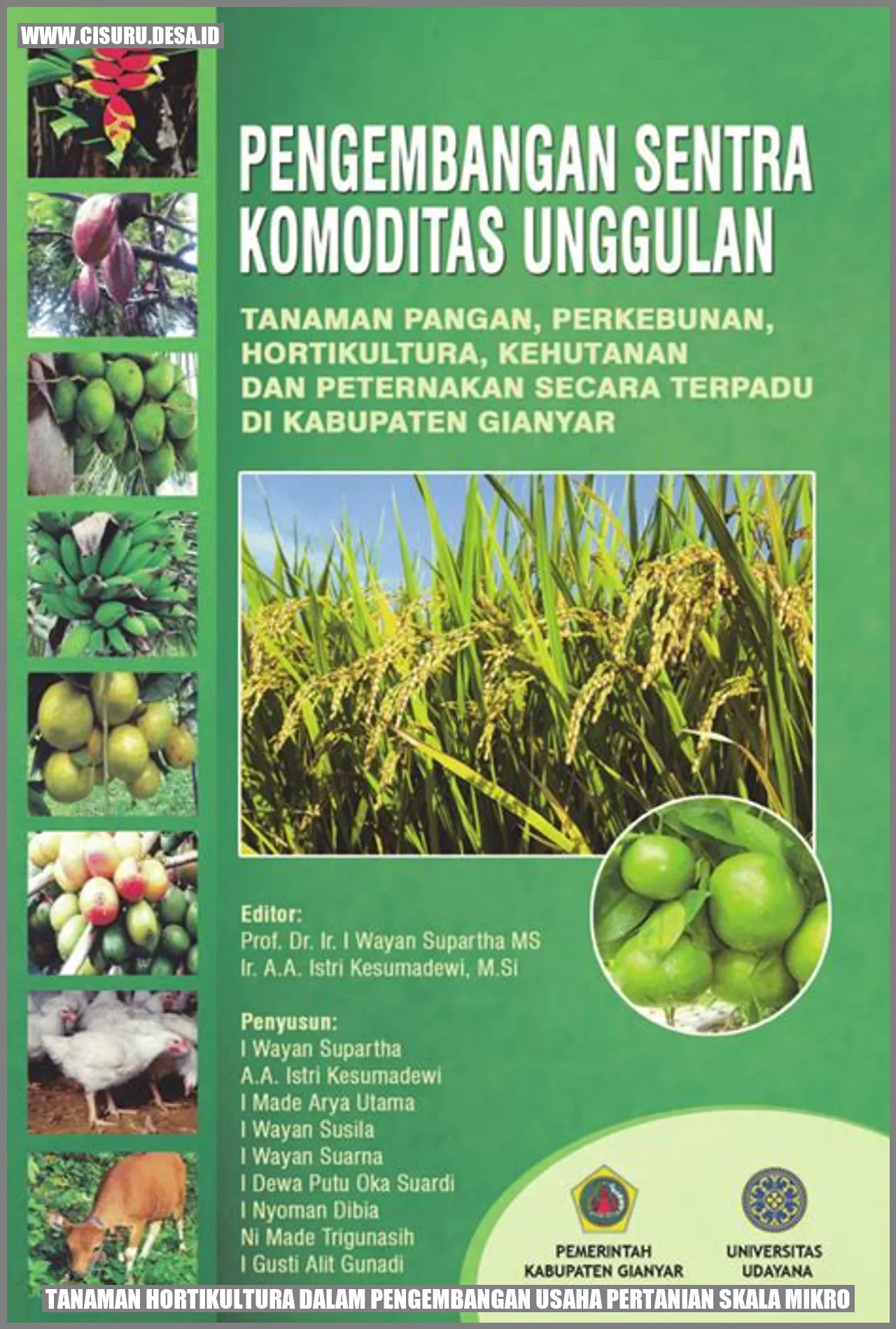 Tanaman Hortikultura dalam Pengembangan Usaha Pertanian Skala Mikro